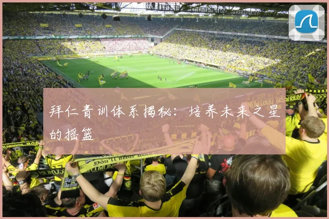 拜仁青训体系揭秘:培养未来之星的摇篮